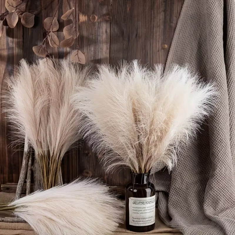 Bloomfield Pampas Stems – Natural Cozy Vase Decor